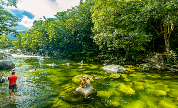 Entradas Parque Nacional en Cairns
