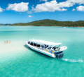 Snorkel y medio día en Hamilton Island